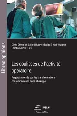 Télécharger le livre :  Les coulisses de l'activité opératoire
