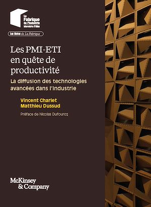 Téléchargez le livre :  Les PMI-ETI en quête de productivité