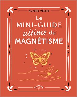 Télécharger le livre :  Le Mini-guide ultime du magnétisme