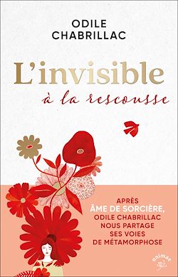 Télécharger le livre :  L'invisible à la rescousse