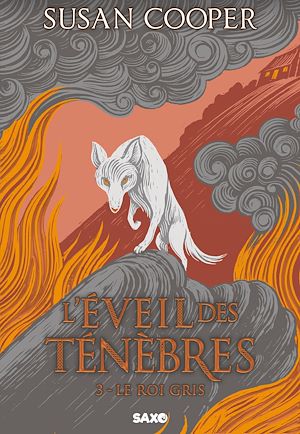Téléchargez le livre :  L'Éveil des Ténèbres - Tome 03 Le Roi Gris (e-book)