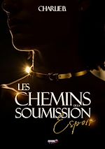 Download this eBook Les chemins de la soumission