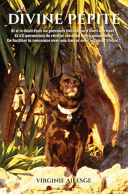 Télécharger le livre :  Divine pépite