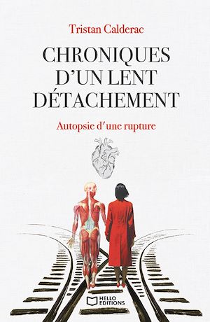 Téléchargez le livre :  Chroniques d'un lent détachement - Autopsie d'une rupture