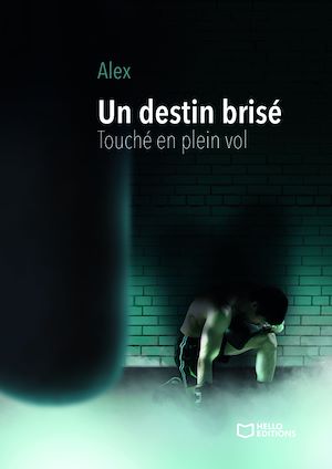 Téléchargez le livre :  Un destin brisé - Touché en plein vol
