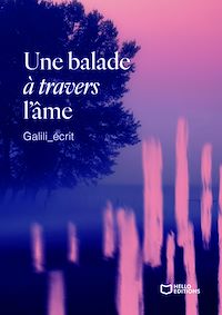 Téléchargez le livre :  Une balade à travers l'âme