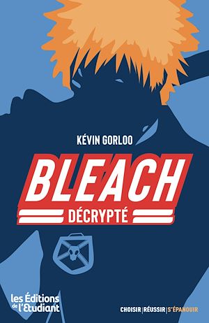 Téléchargez le livre :  Bleach décrypté