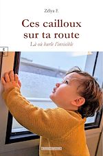 Download this eBook Ces cailloux sur ta route