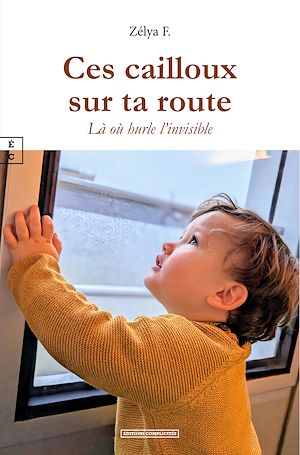 Download the eBook: Ces cailloux sur ta route