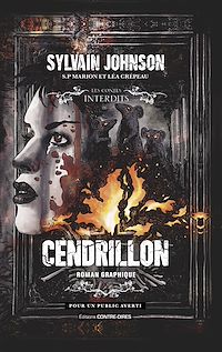Téléchargez le livre :  Cendrillon - Roman graphique