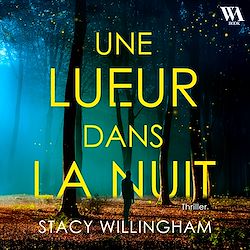 Télécharger le livre :  Une lueur dans la nuit