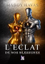 Télécharger le livre :  L'éclat de nos blessures