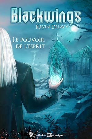 Téléchargez le livre :  Blackwings
