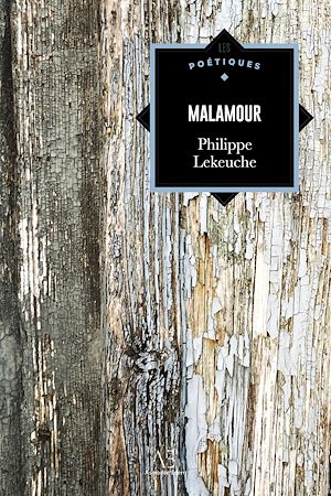 Téléchargez le livre :  Malamour