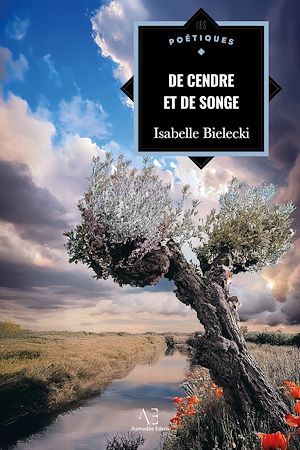 Téléchargez le livre :  De cendre et de songe