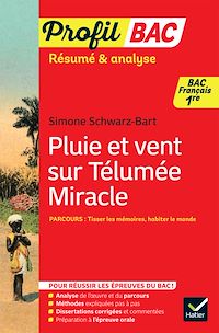 Download this ebook Profil - Pluie et vent sur Télumée Miracle (Bac de français 2027)