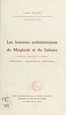 Télécharger le livre :  Les hommes préhistoriques du Maghreb et du Sahara