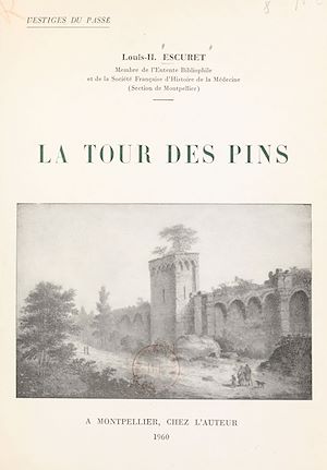 Téléchargez le livre :  Vestiges du passé. La Tour des Pins