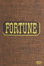 Télécharger le livre :  Fortune