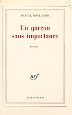Télécharger le livre :  Un garçon sans importance