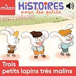 Télécharger le livre :  Trois petits lapins très malins