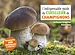 Télécharger le livre :  L'indispensable guide du cueilleur de champignons