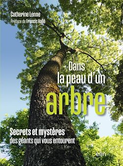 Télécharger le livre :  Dans la peau d'un arbre : Secrets et mystères des géants qui vous entourent