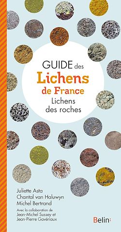 Télécharger le livre :  Guide des lichens de France - Lichens des roches