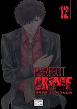 Télécharger le livre :  Perfect crime T12