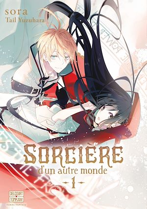 Téléchargez le livre :  Sorcière d'un autre monde T01