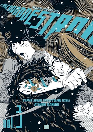 Téléchargez le livre :  Search and destroy T03