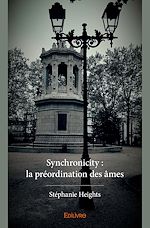Télécharger le livre :  Synchronicity : la préordination des âmes