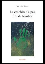 Télécharger le livre :  Le crachin n'a pas fini de tomber