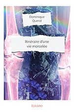 Télécharger le livre :  Itinéraire d'une vie morcelée
