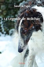 Télécharger le livre :  La Légende de Moltchan