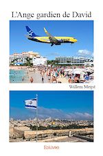 Télécharger le livre :  L'Ange gardien de David