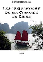 Télécharger le livre :  Les tribulations de ma Chinoise en Chine