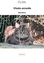 Télécharger le livre :  Chats errants - réédition