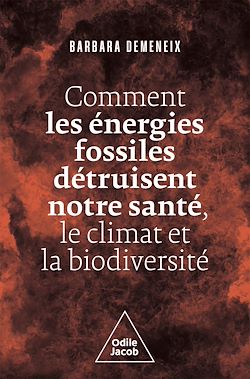 Télécharger le livre :  Comment les énergies fossiles détruisent notre santé, le climat et la biodiversité