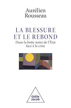 Télécharger le livre :  La Blessure et le Rebond
