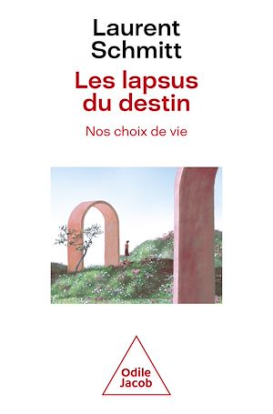 Les Lapsus du destin, nos choix de vie | Schmitt, Laurent. Auteur