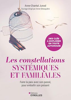 Télécharger le livre :  Les constellations systémiques et familiales
