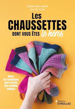 Télécharger le livre :  Les chaussettes dont vous êtes le héros