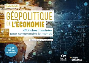 Téléchargez le livre :  Géopolitique de l'économie