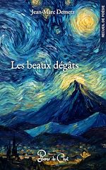 Télécharger le livre :  Les beaux dégâts