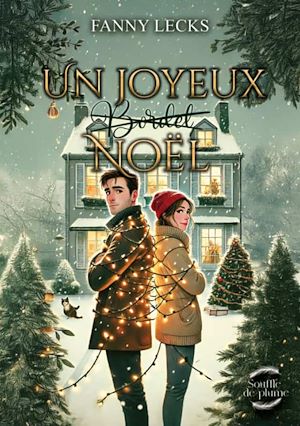 Téléchargez le livre :  Un joyeux (bordel) Noël