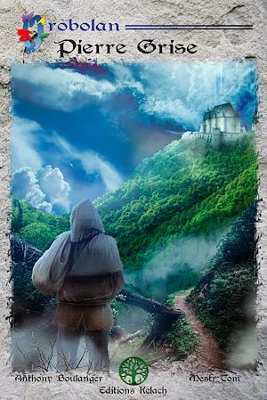 Téléchargez le livre :  Pierre Grise