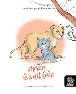 Télécharger le livre :  Merlin, le petit félin