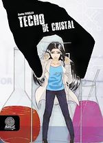 Download this eBook Techo de cristal
