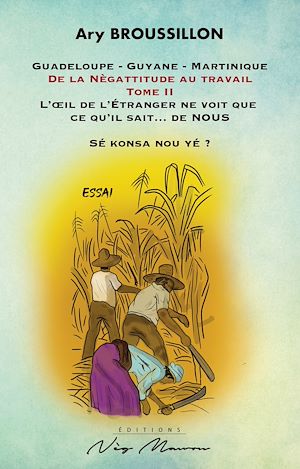 Téléchargez le livre :  De la Nègattitude au travail (Tome 2)